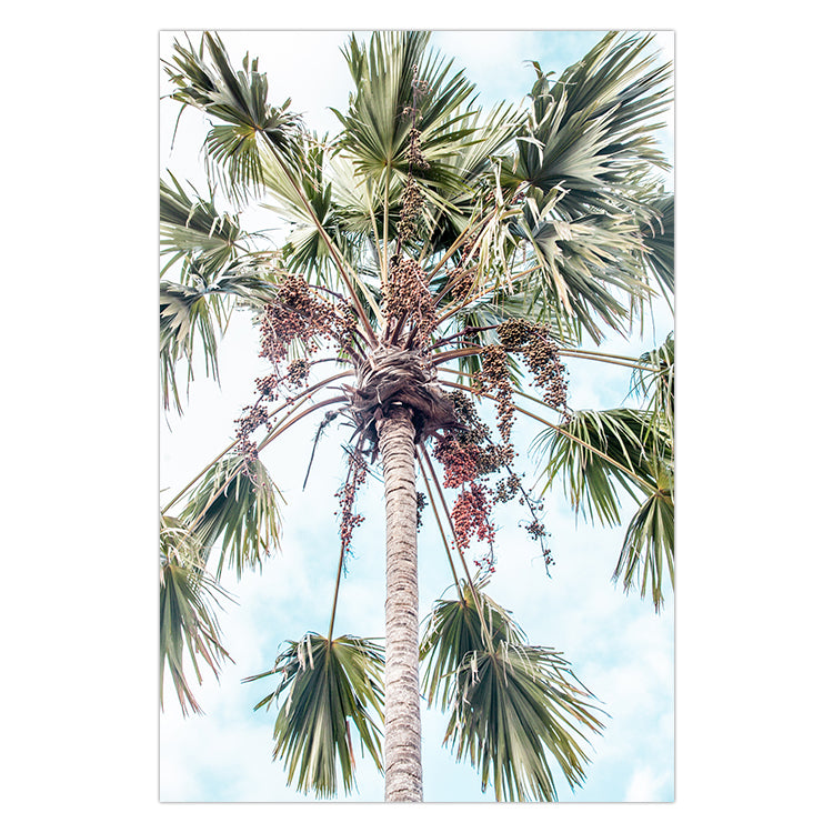 Canggu Palms no.2