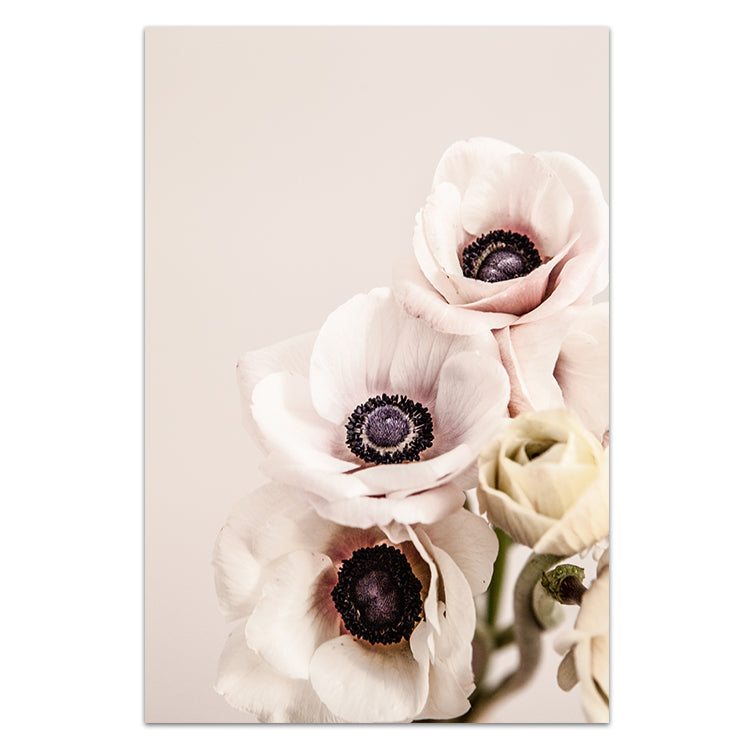 Anemones II