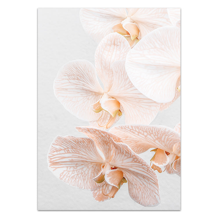 Set of 2 - Orchids III & Orchids IV