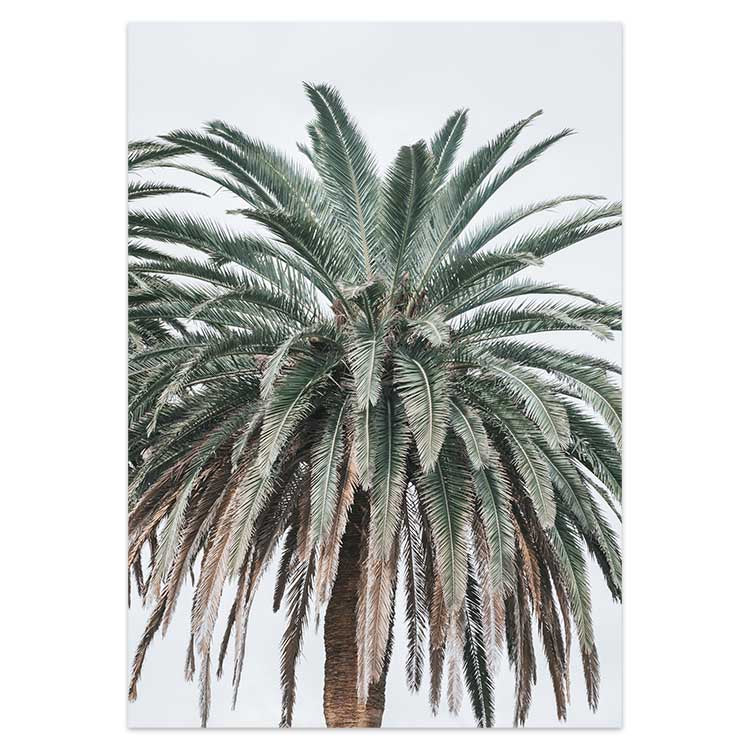 Jungle Palms no.2