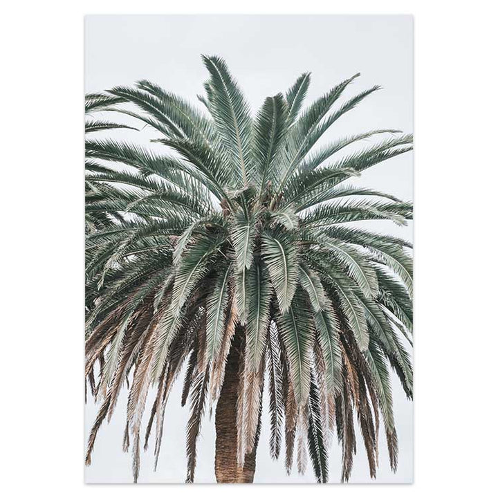 Jungle Palms no.2