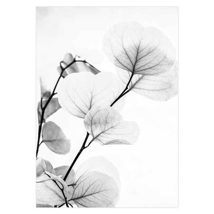Set of 2 - Dried Eucalyptus I - B&W & Dried Eucalyptus II - B&W