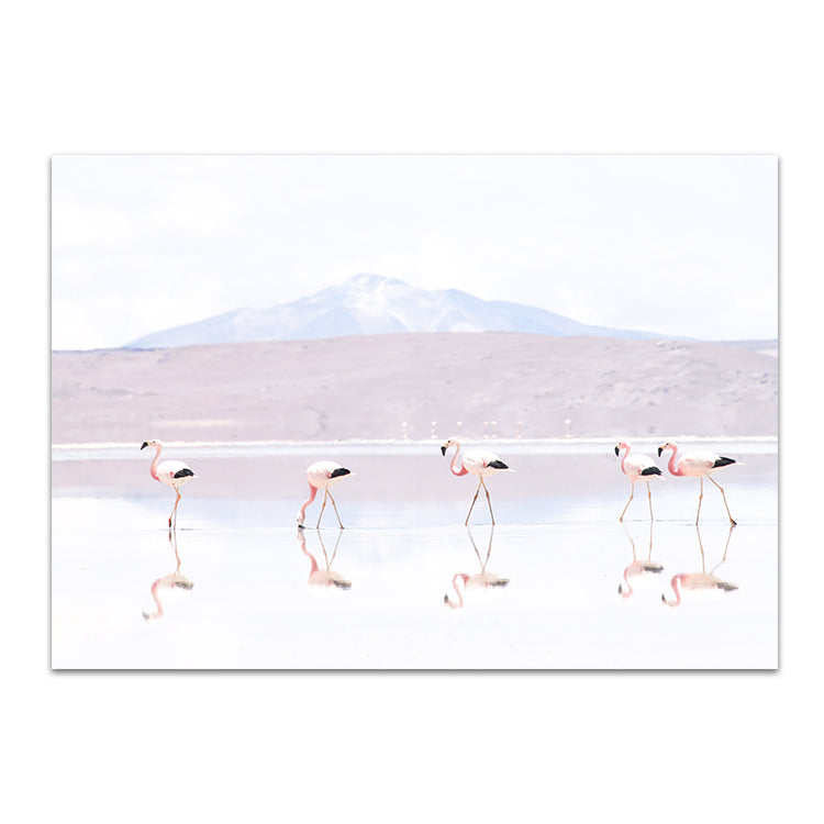 Flamingos LS - Bolivia