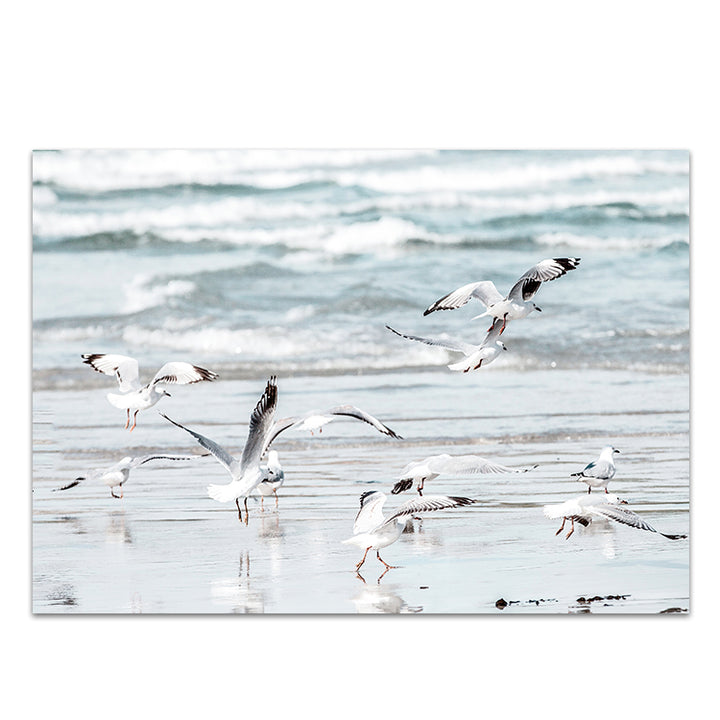 Wings - Warrnambool