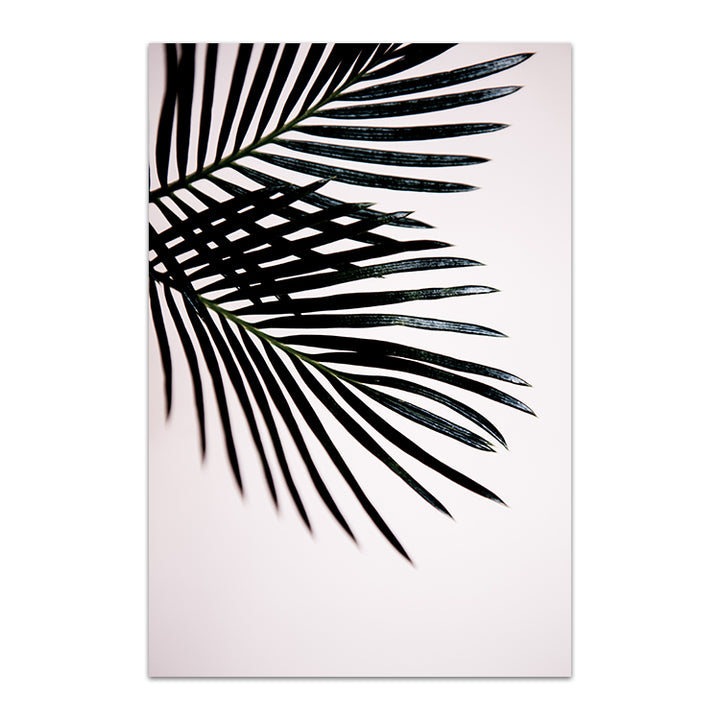 Set of 2 - Sago Palm I + II