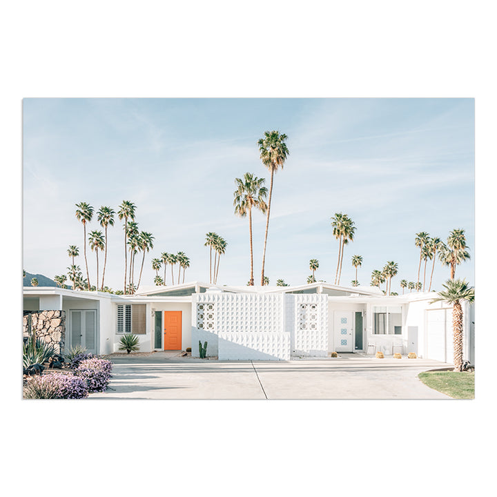 Palm Springs no.1