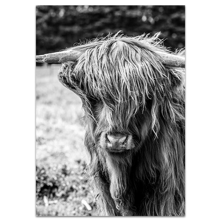 Highland I B+W