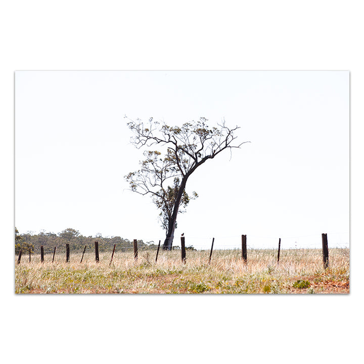 Outback no.2 - The Hunter Valley