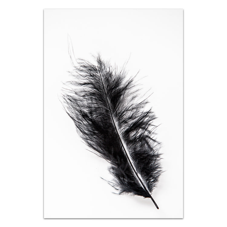 Black Feather
