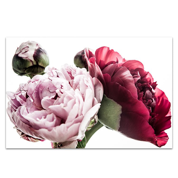 Peony Trio