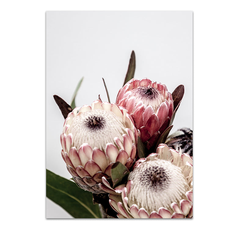 Protea I