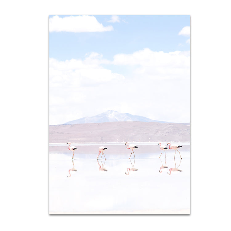 Flamingos - Chile
