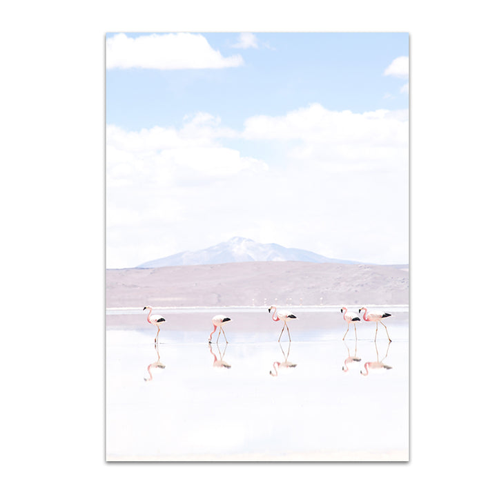 Flamingos - Chile