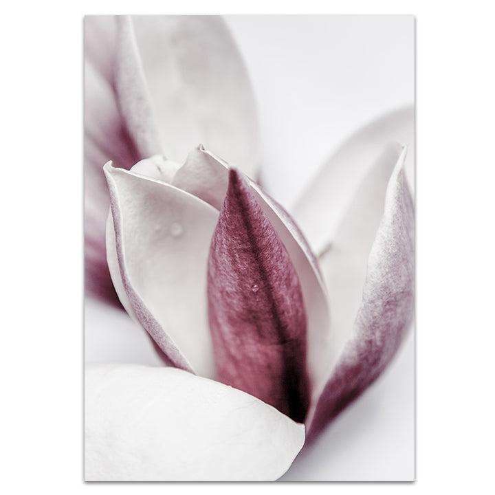 Set of 2 - Magnolia I + II