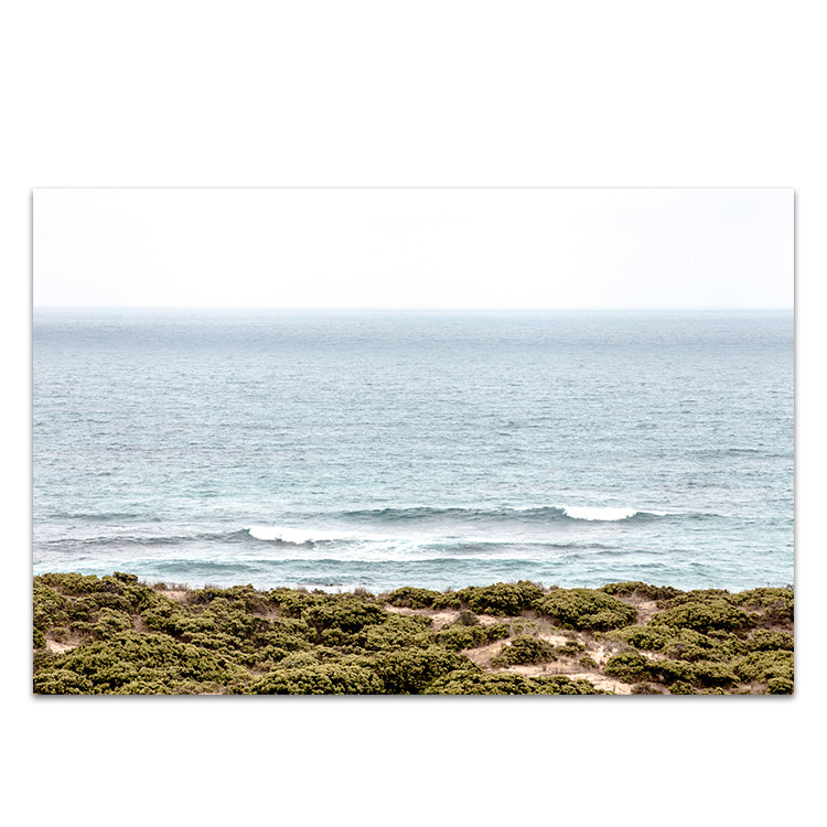 The Cove LS