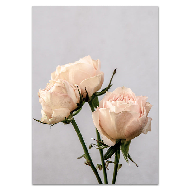 Set of 2 - Vintage Rose I + Vintage Rose II