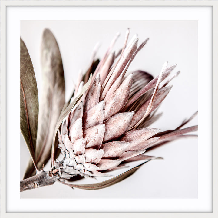 Native I - SQUARE (lighter version)