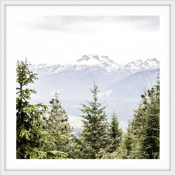 Kelowna - Canada - SQUARE