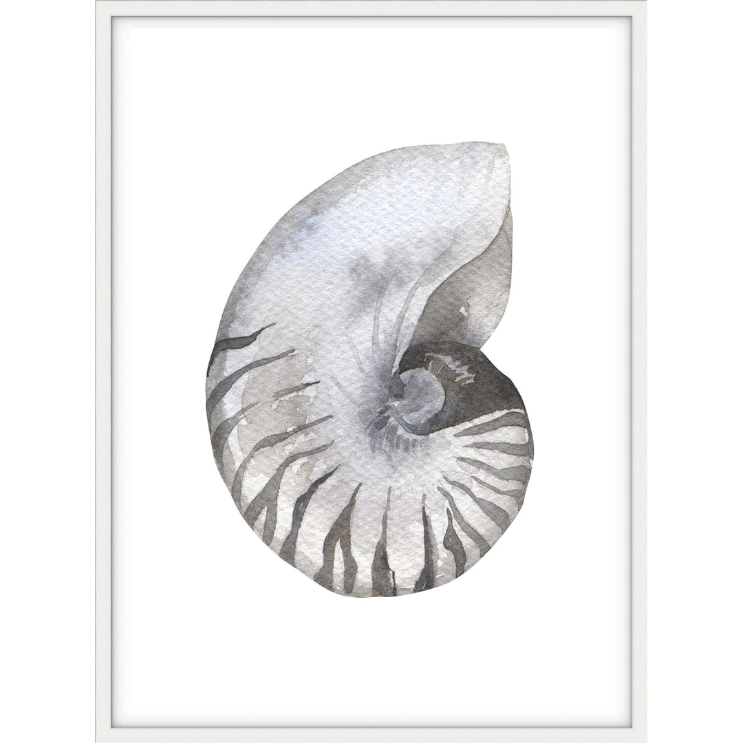 Shell no.2