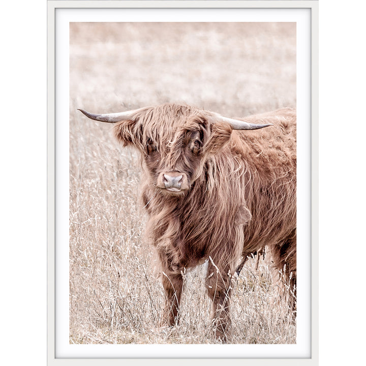 Highland II