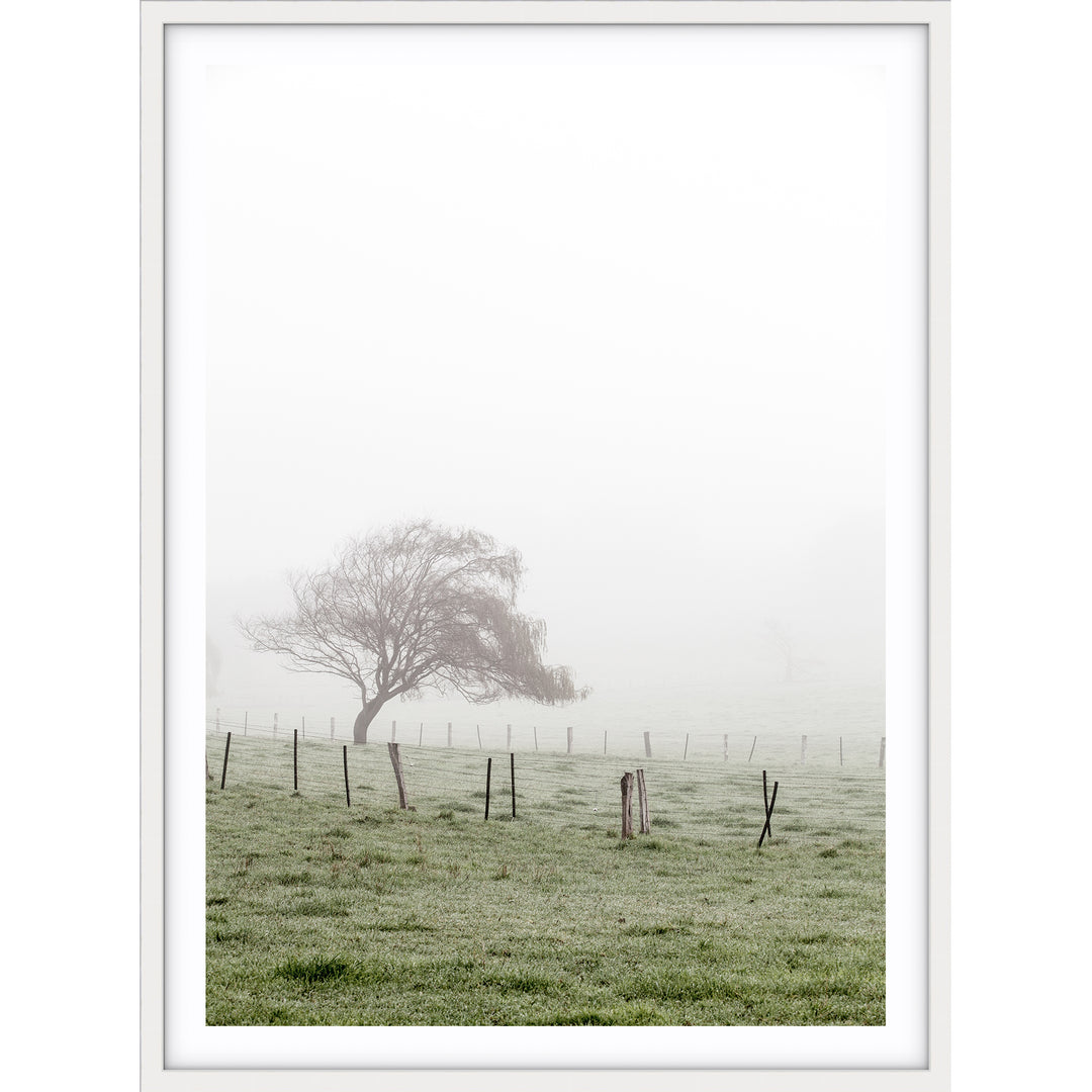 Morning Fog II - Country Victoria