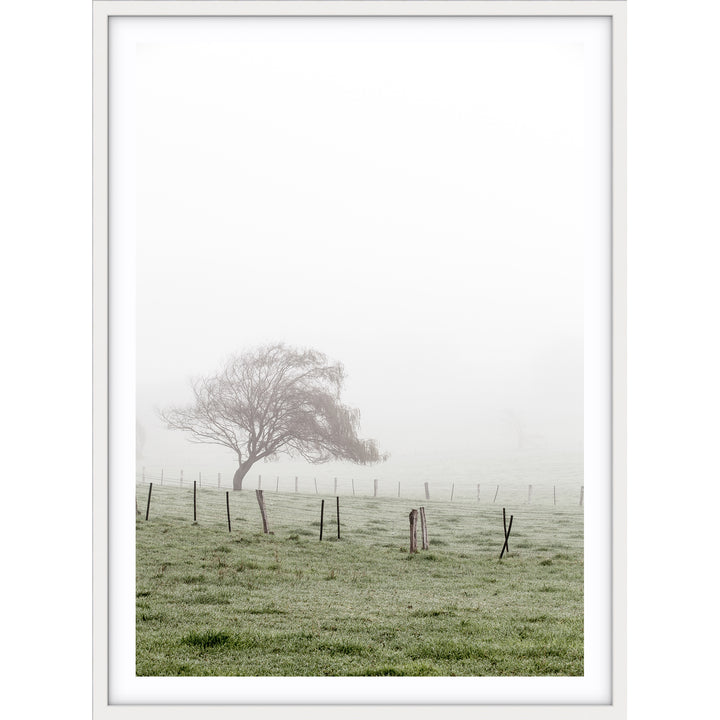 Morning Fog II - Country Victoria