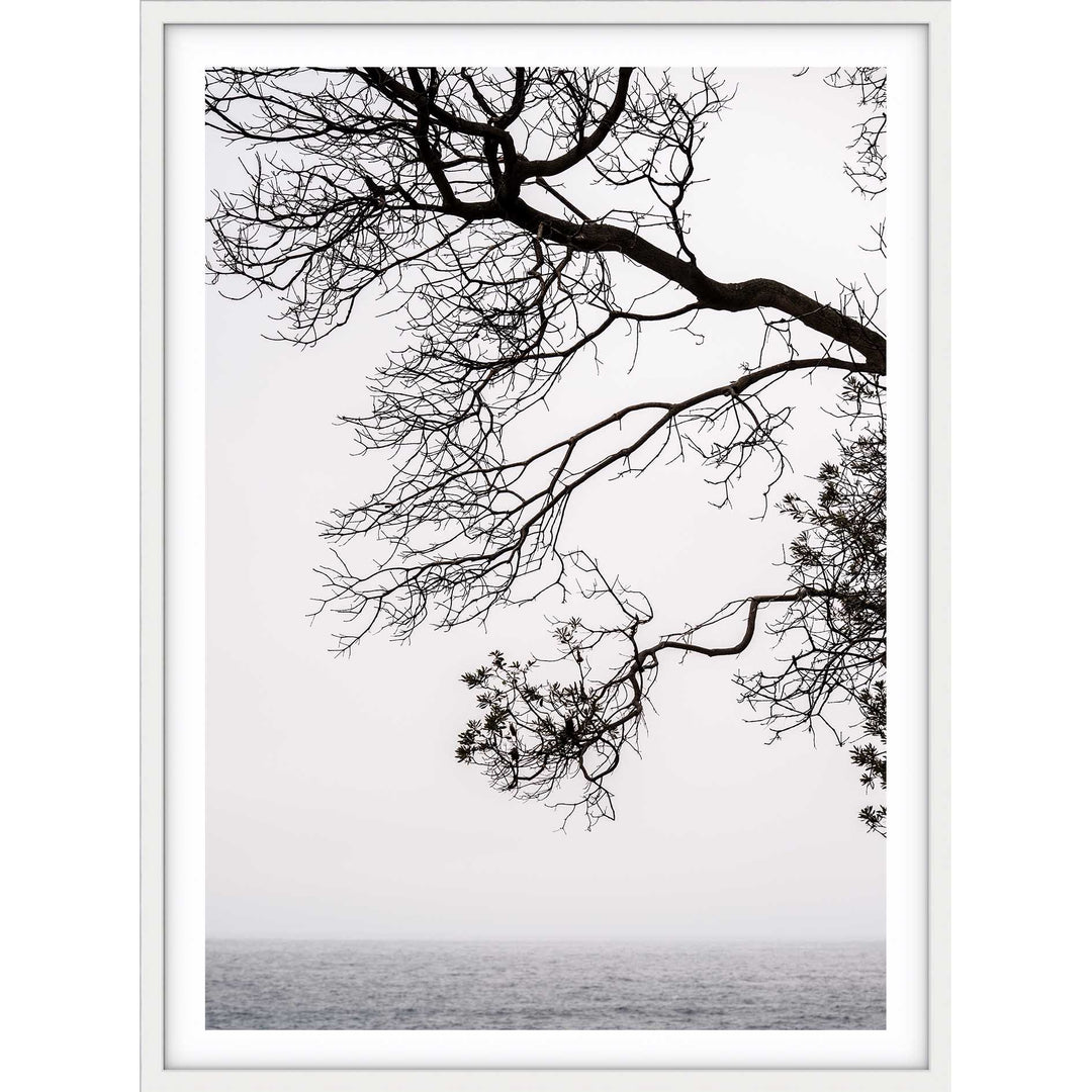 By The Sea - Bronte Beach