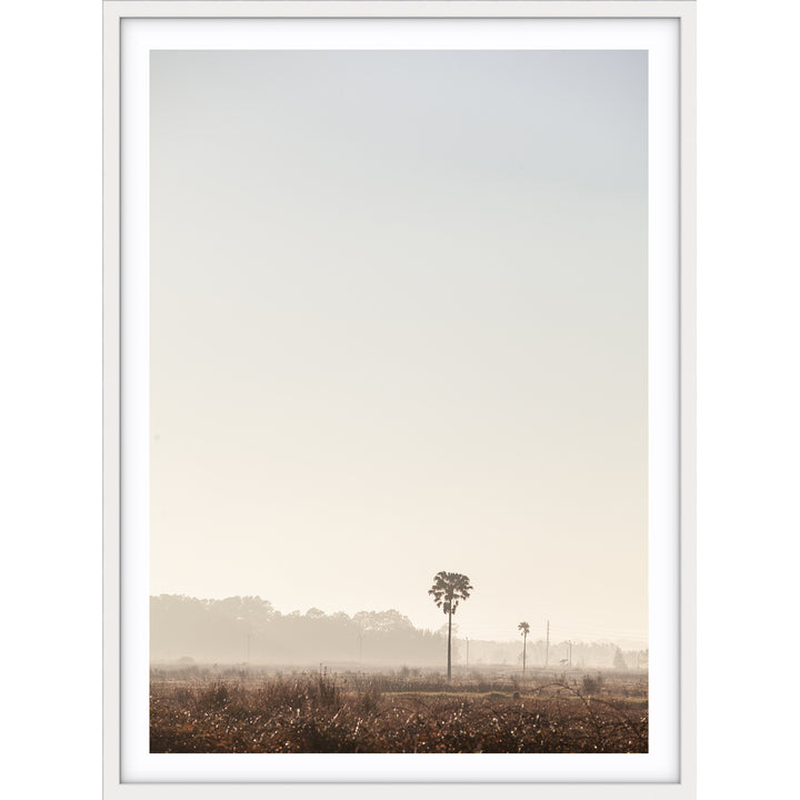 Sunrise Palms no.3 - Stockton Beach