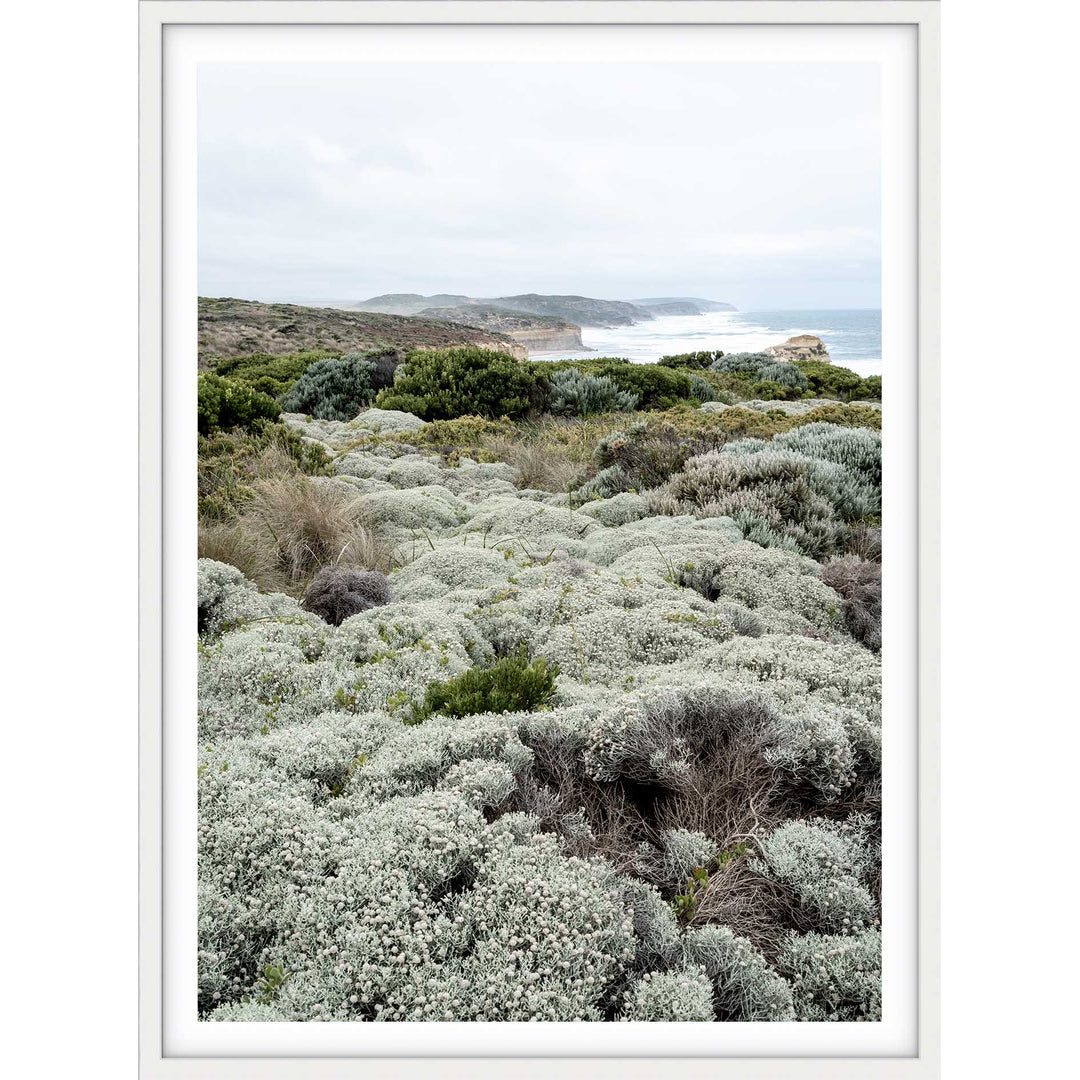 Great Ocean Road no.1