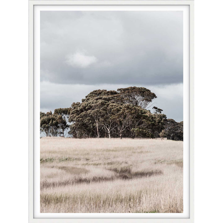 Country Life - Victoria