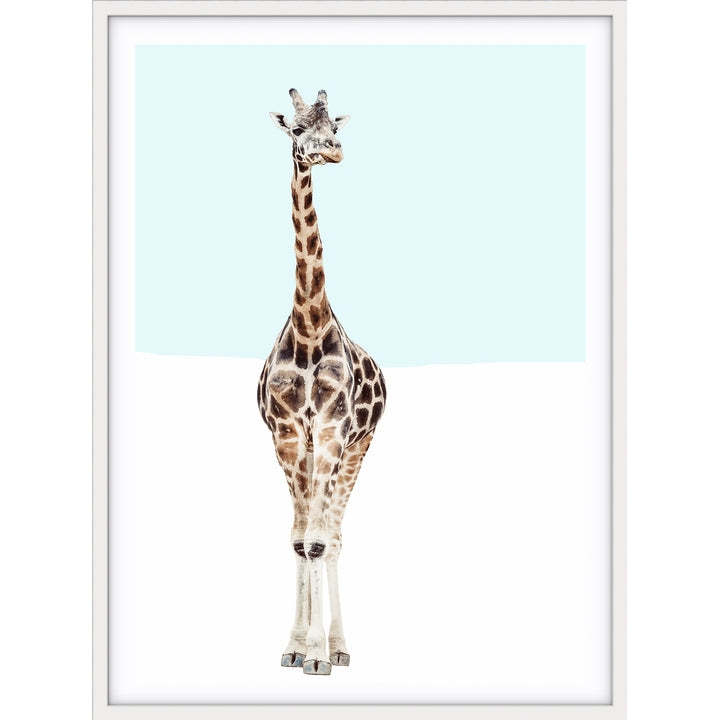 Giraffe - Blue