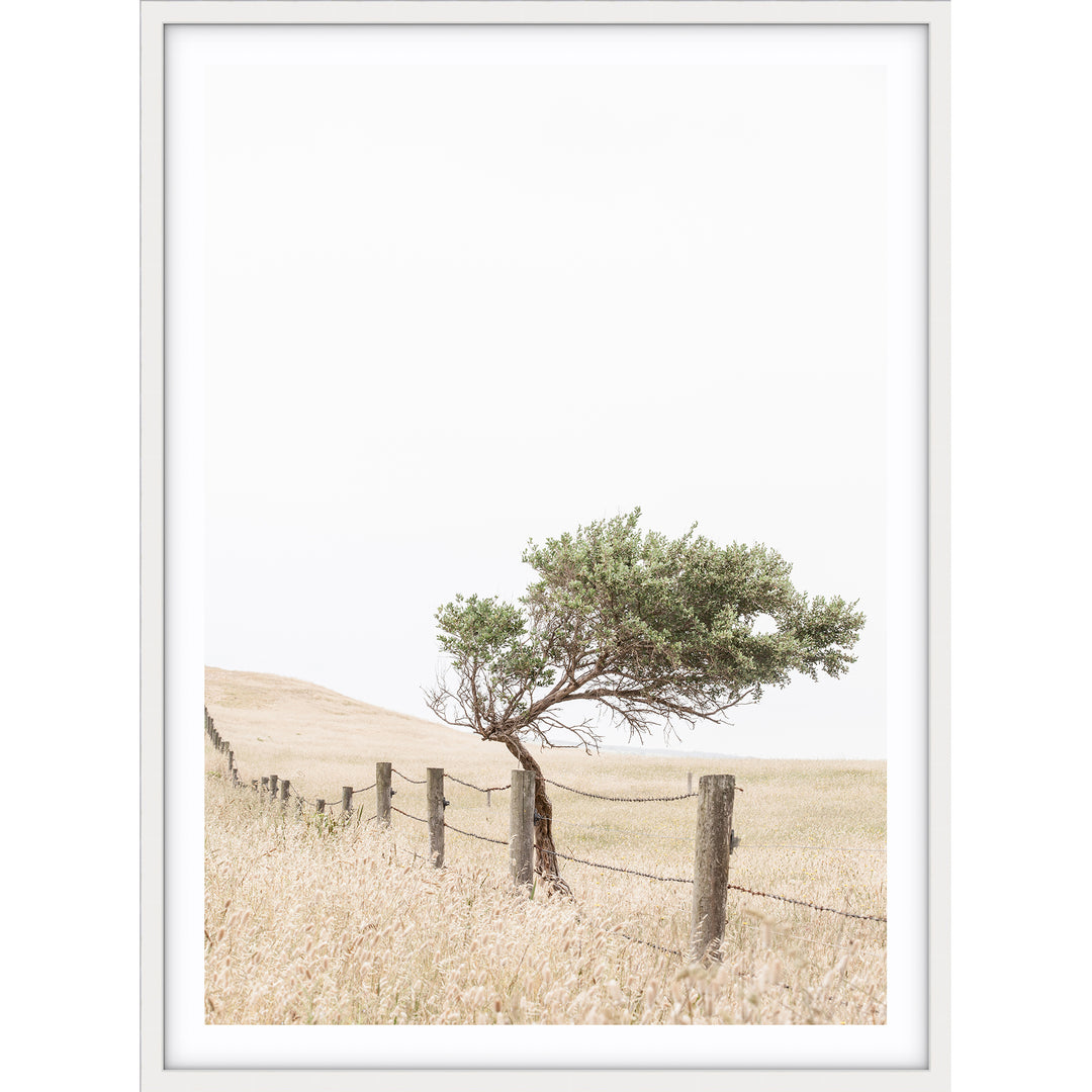 Fence - Country Victoria