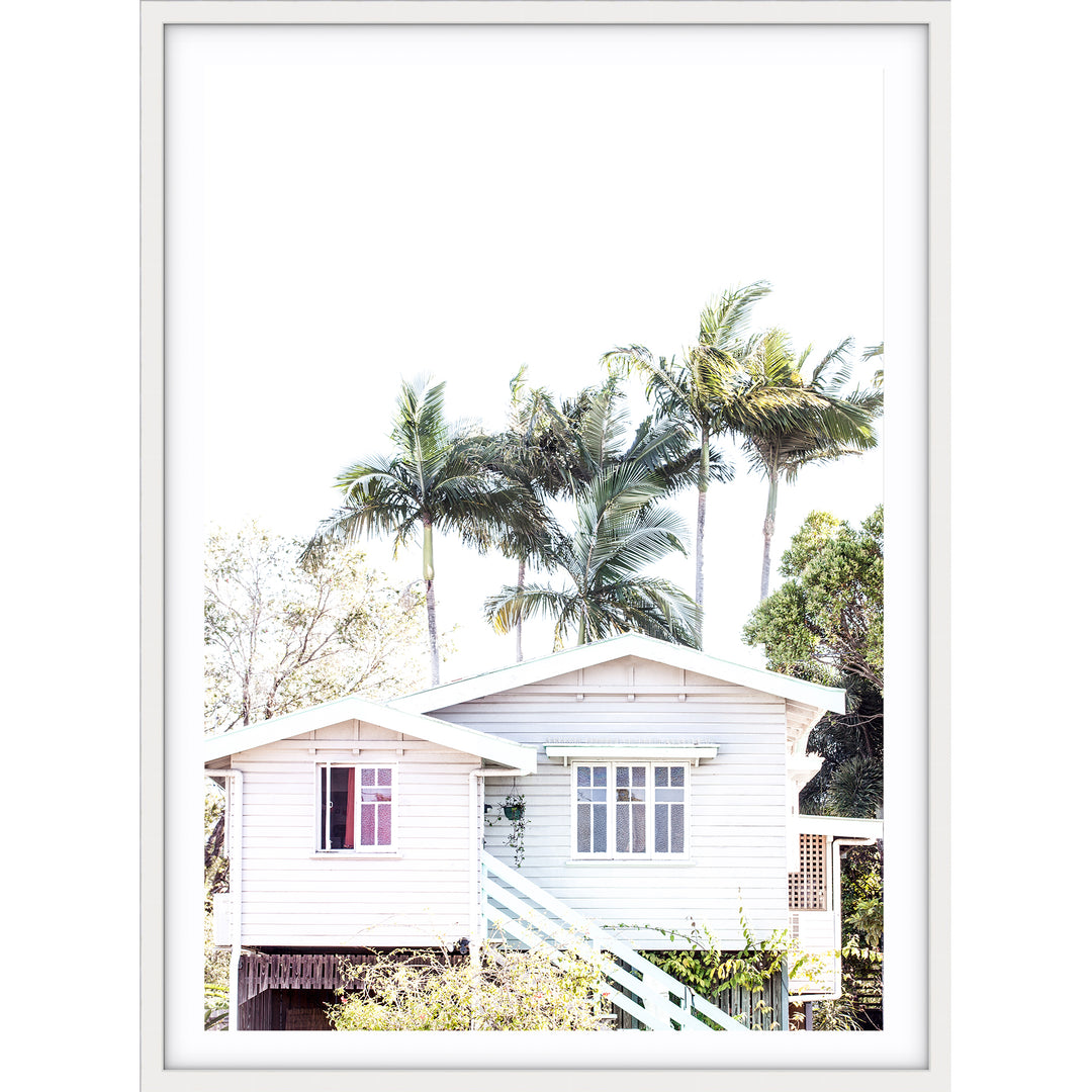 Tropicana IV - Port Douglas