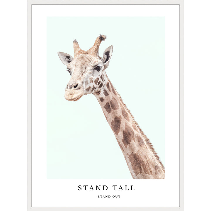 Stand Tall
