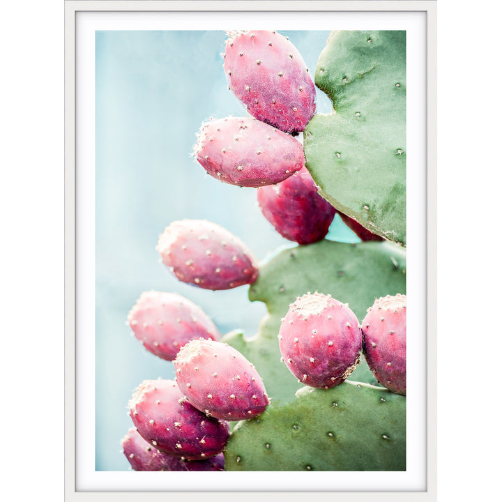 Prickly Pear