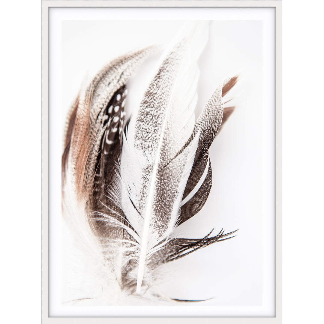 Feathers no.3