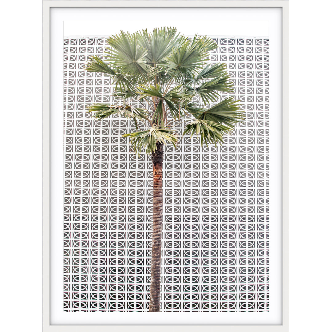 Breeze Block Palm no.1