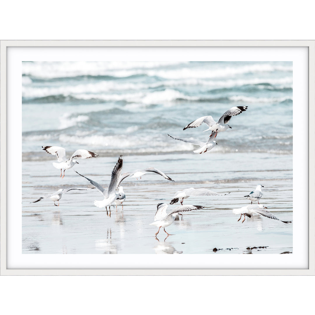 Wings - Warrnambool