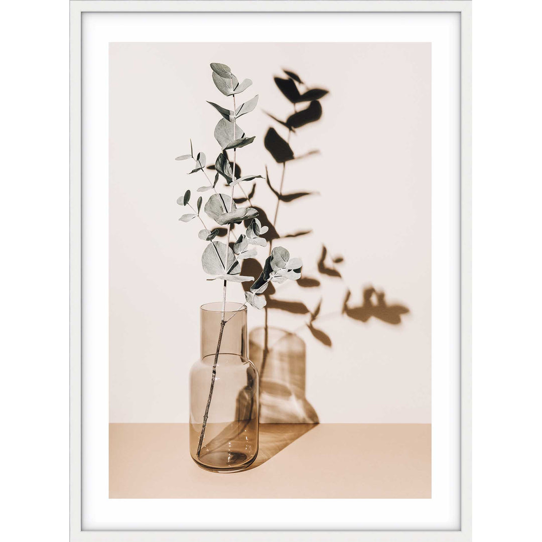 Antique Eucalyptus