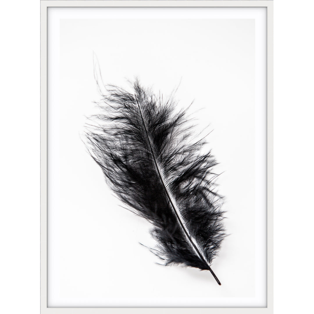 Black Feather