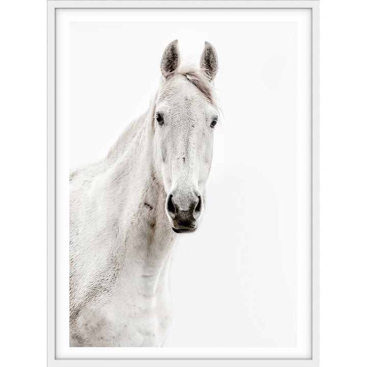 Silver Horse I - PORTRAIT