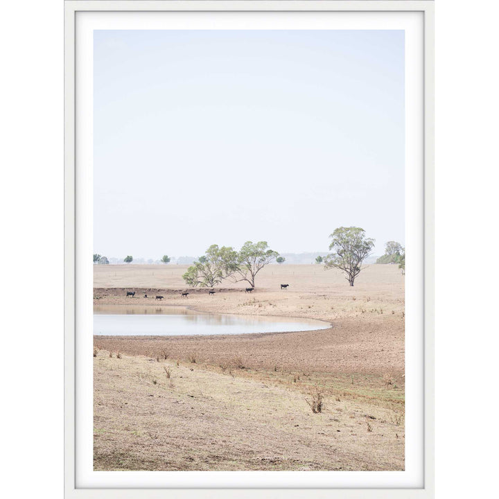 The Drought no.2 - The Hunter Valley
