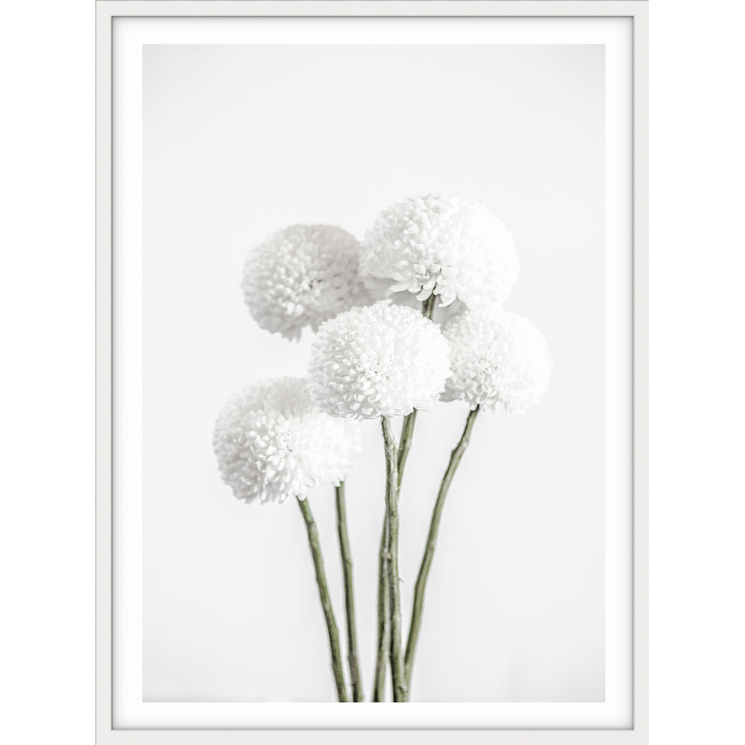 Chrysanthemums I