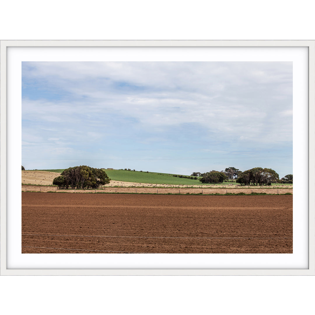 Potato Farm - Country Victoria