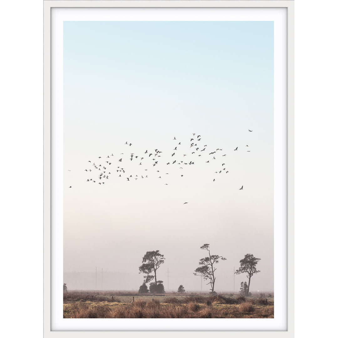 Birds At Sunrise no.1 - Stockton Beach