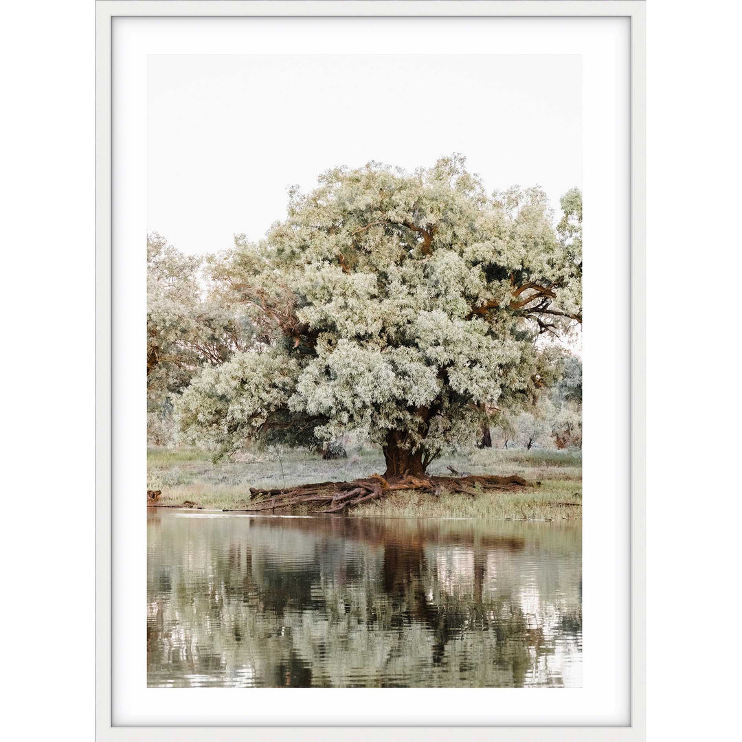 The Darling River Flooded I