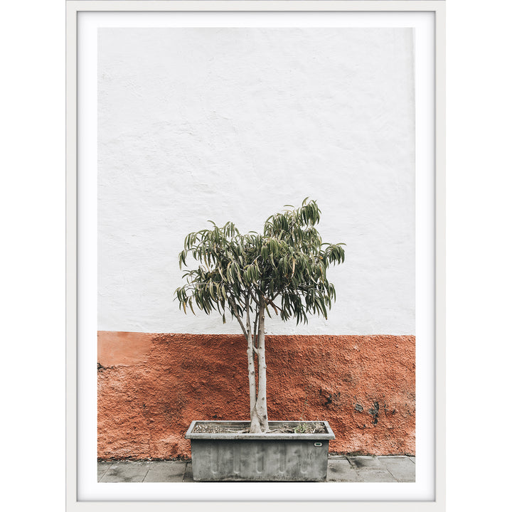 Terracotta Wall - Santorini