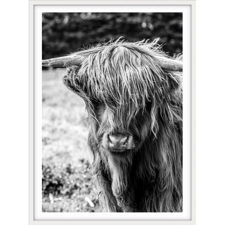 Highland I B+W