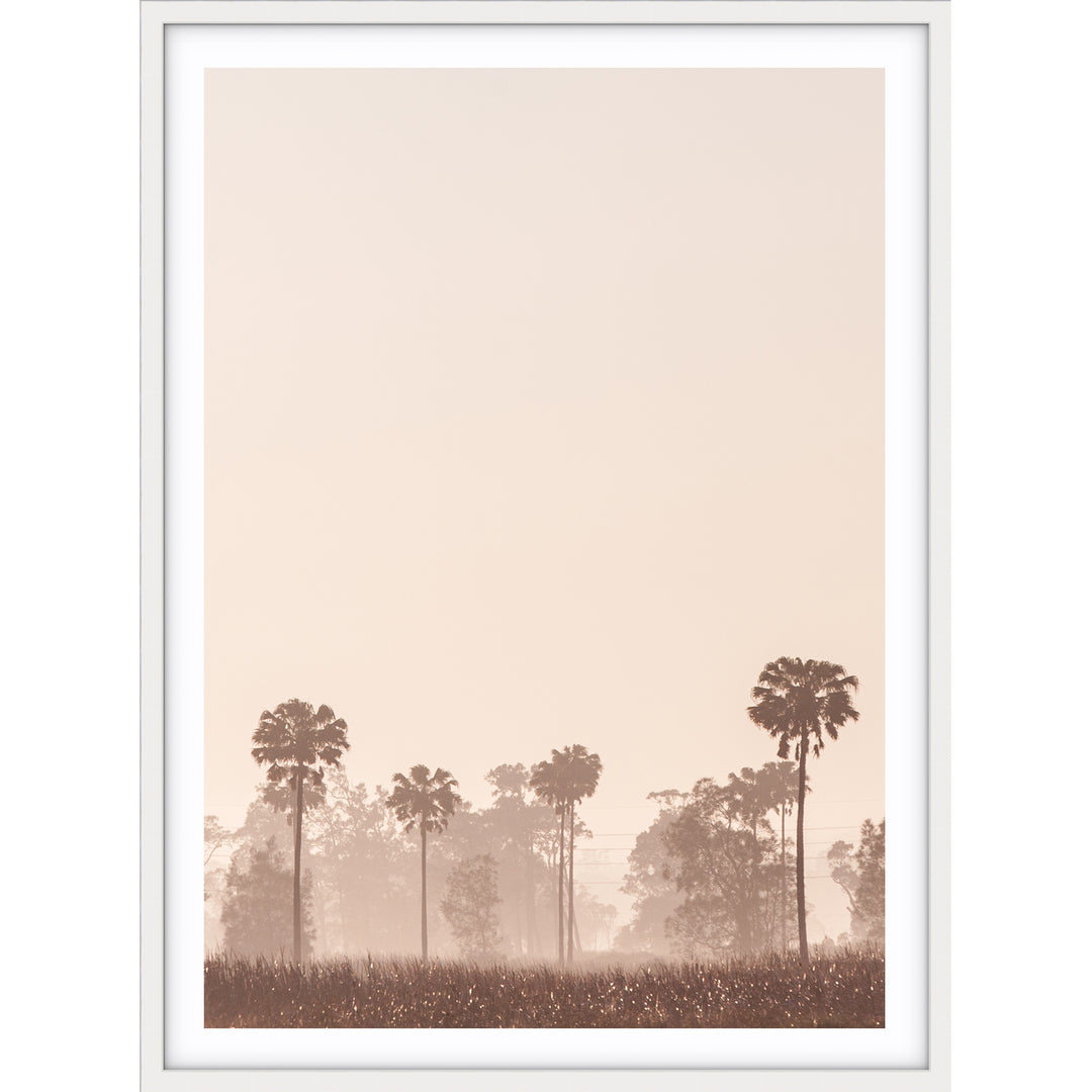 Sunrise Palms no.1 - Stockton Beach