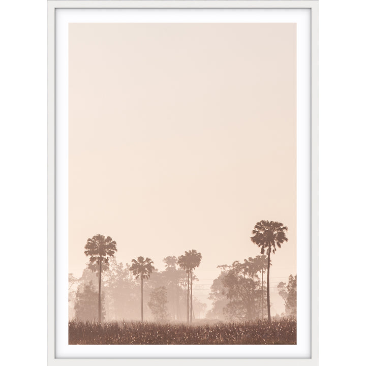 Sunrise Palms no.1 - Stockton Beach